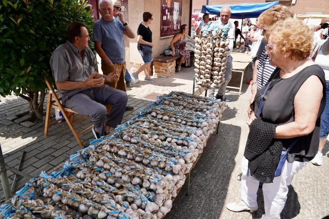 Feria del Ajo (4)