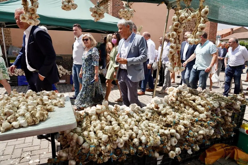 Feria del Ajo (7)