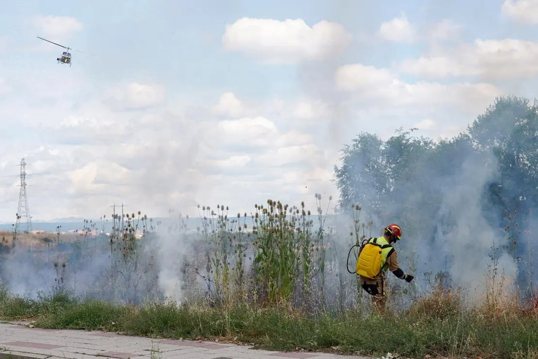 Incendio forestal en León capital (2)