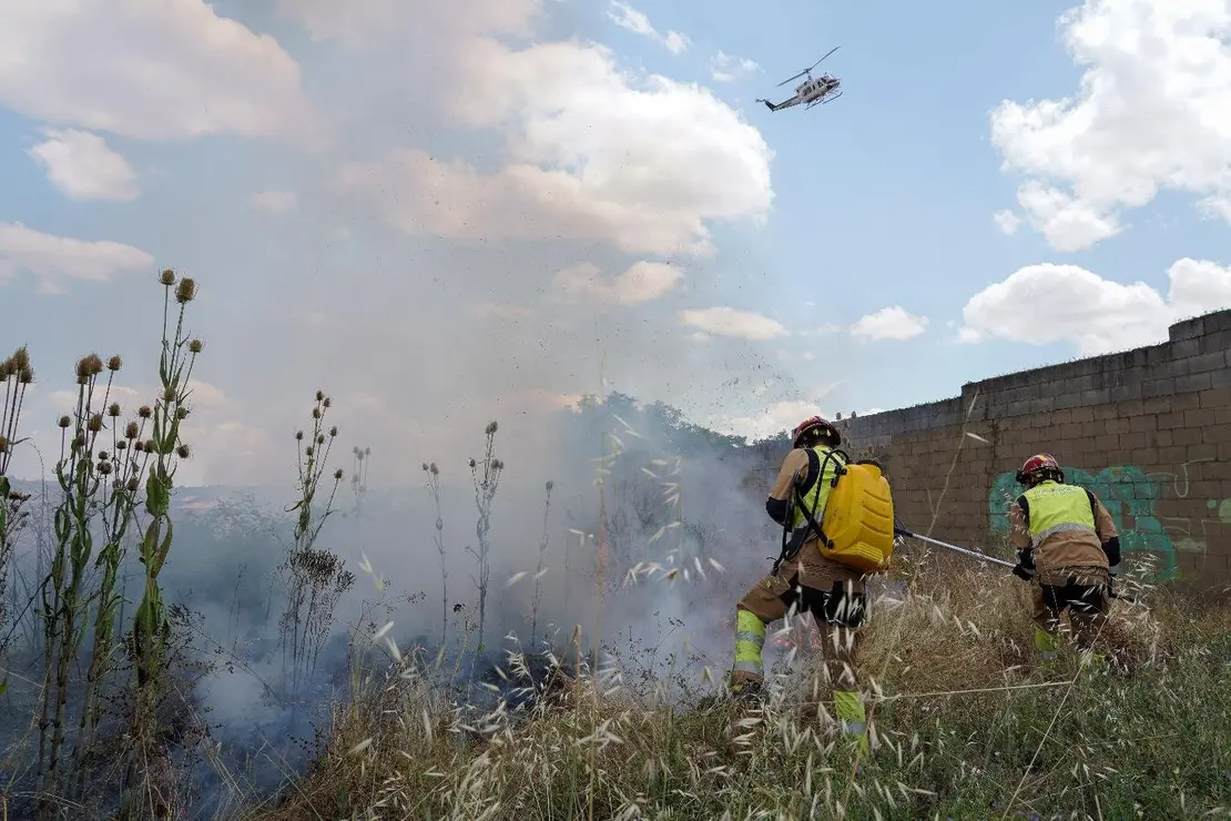 Incendio forestal en León capital (3)