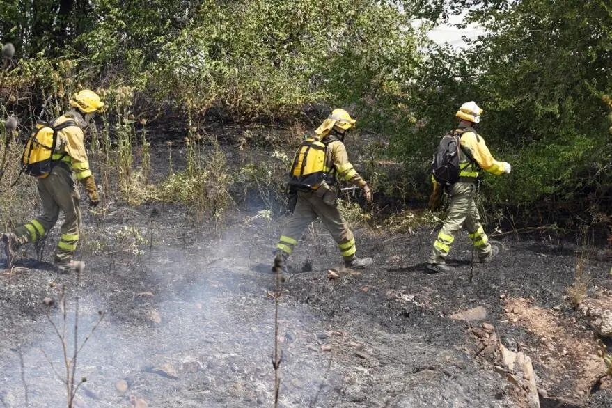 Incendio forestal en León capital (7)