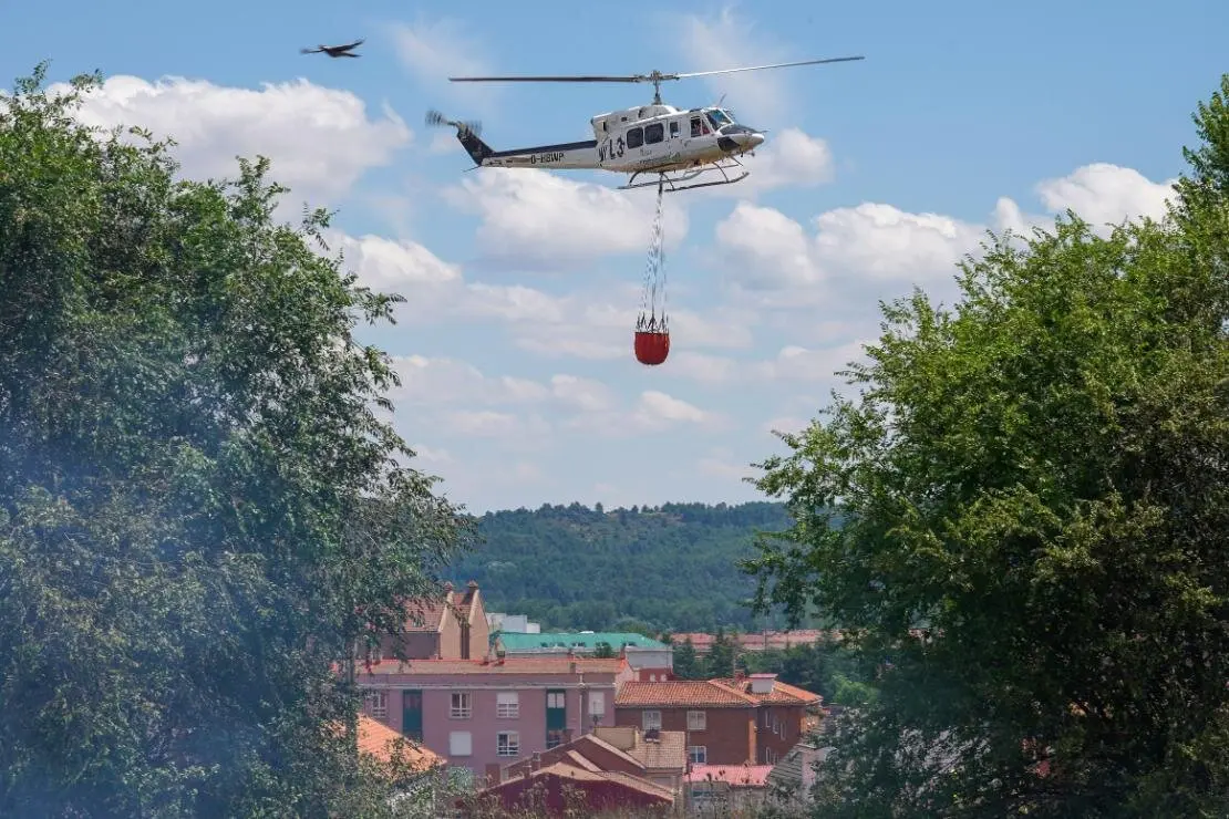 Incendio forestal en León capital (8)