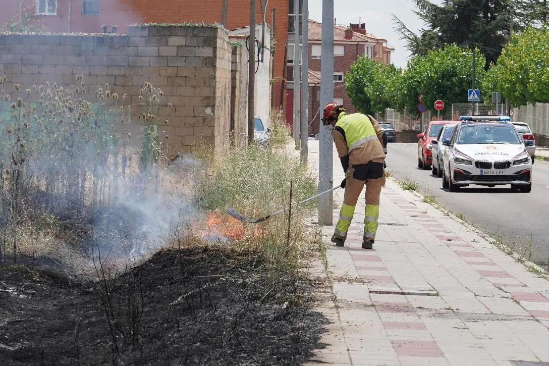 Incendio forestal en León capital (9)