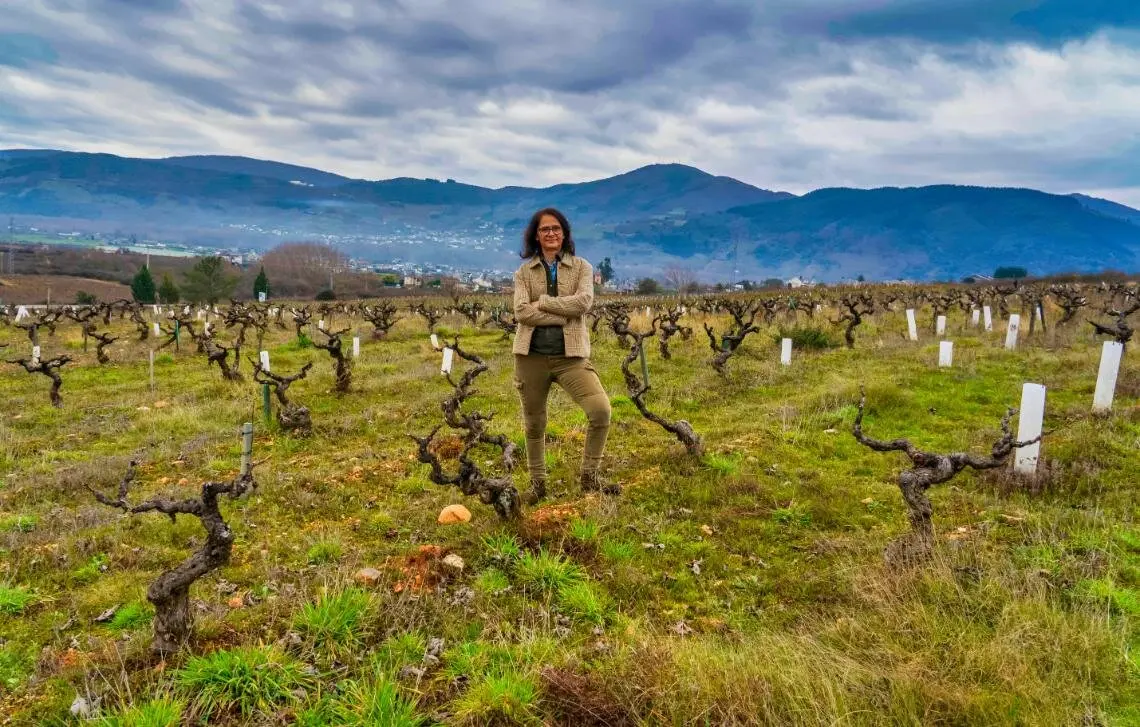 Consuelo Ysart, presidenta de 'Bierzo Enoturismo'. Foto: César Sánchez
