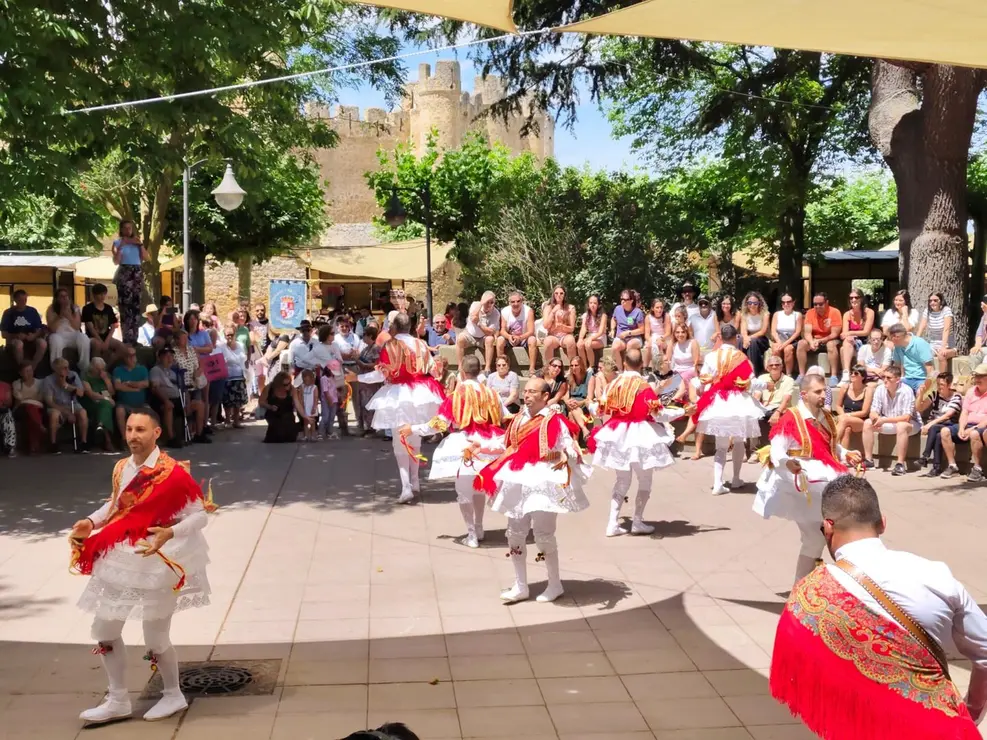 Valencia de Don Juan (7)