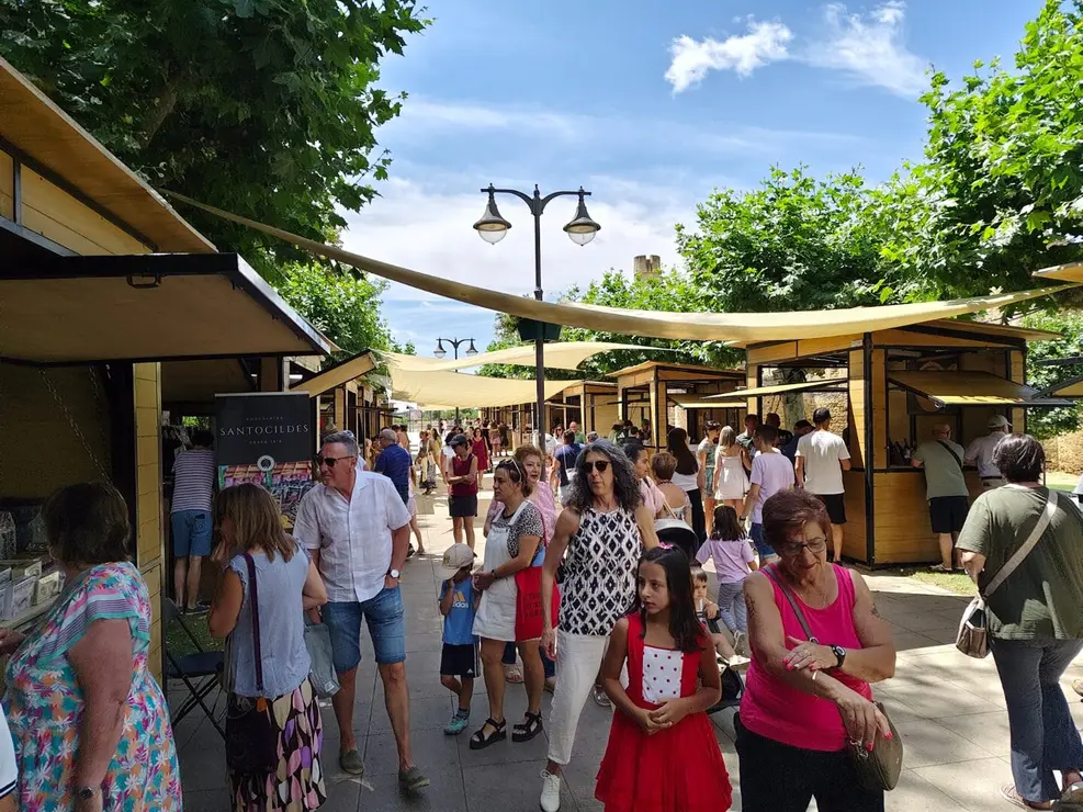 Valencia de Don Juan (11)