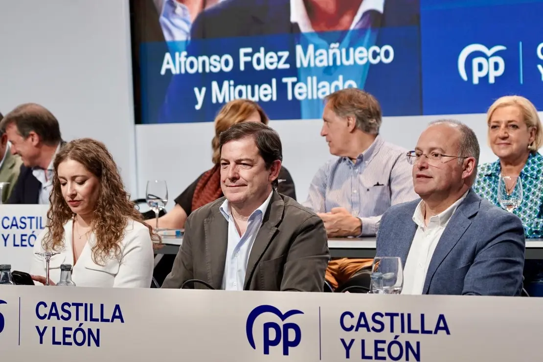 PP Castilla y León (16)