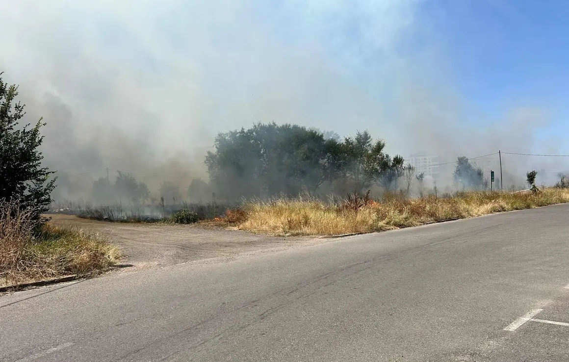 Incendio (3)