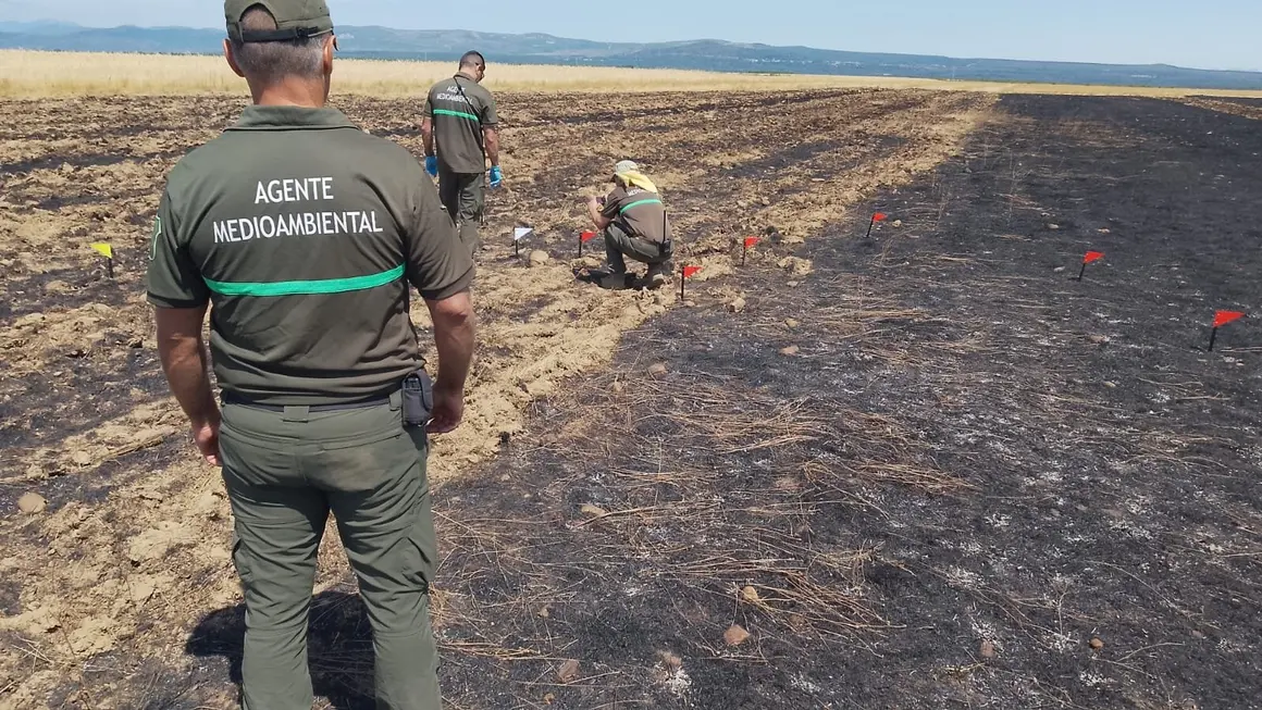Agentes medioambientales durante la investigación del incendio de Ferreras de Cepeda.