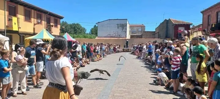 Valencia de Don Juan (2)