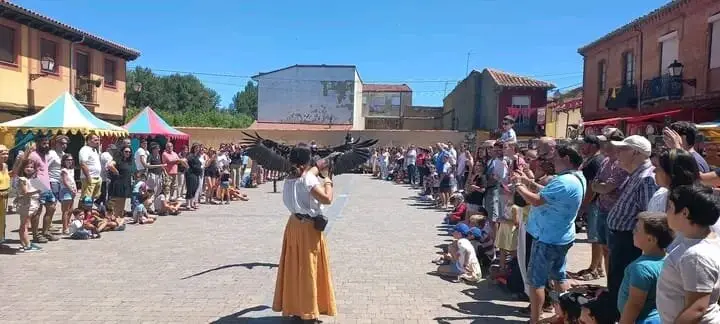 Valencia de Don Juan (3)
