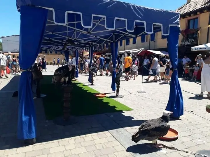 Valencia de Don Juan (5)