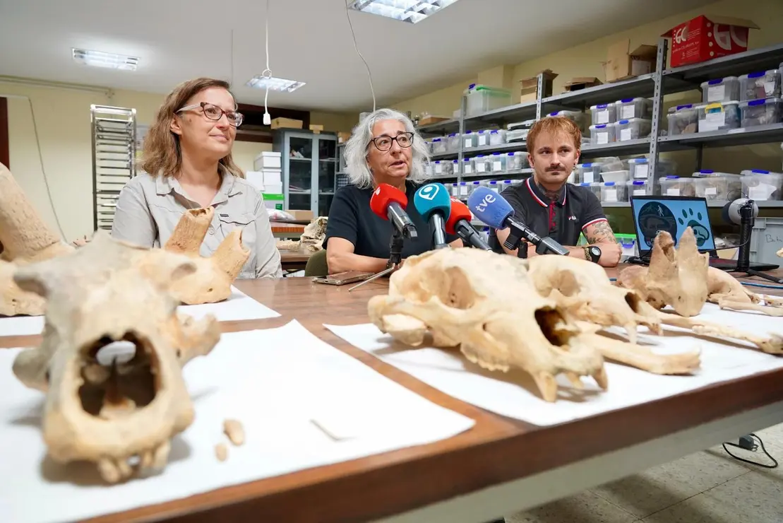 Investigadores de la Universidad de León y del Museo Nacional de Ciencias Naturales presentan la primera Campaña de recuperación de restos de fauna del Cuaternario en cuevas de la provincia. Foto: Campillo