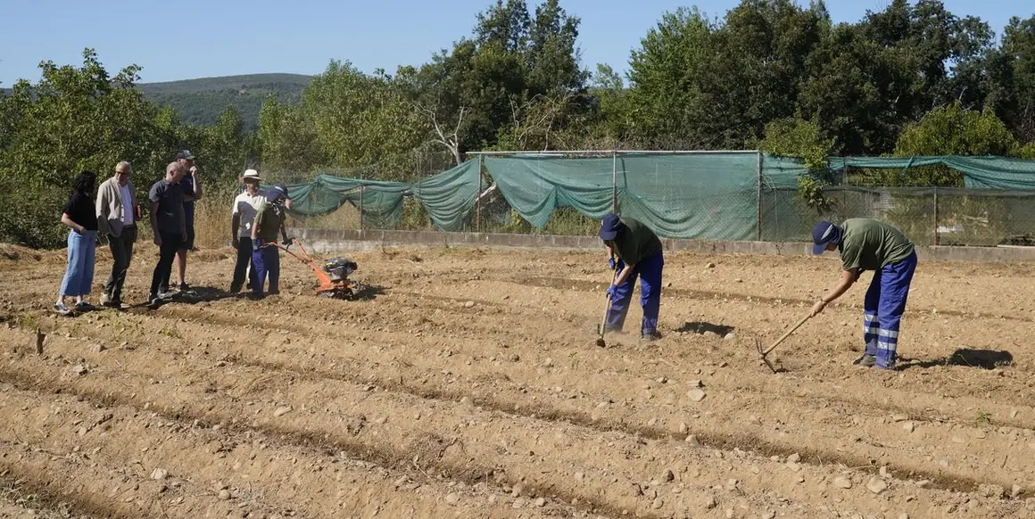 El presidente del Consejo Comarcal del Bierzo, Olegario Ramón, junto a la consejera comarcal de Formación y Empleo, Laura Fernández, el concejal de Acción Rural de Carracedelo, Daniel Morán, y el gerente de Alimentos de Calidad del Bierzo, Pablo Linares, durante la presentación del programa 'Agromentoring'