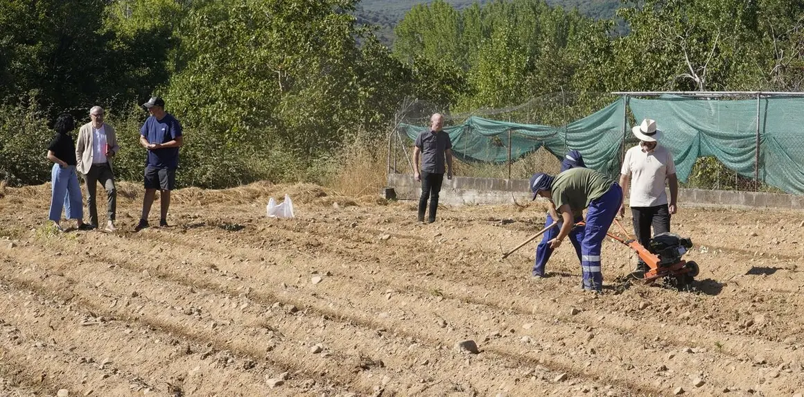 El presidente del Consejo Comarcal del Bierzo, Olegario Ramón, junto a la consejera comarcal de Formación y Empleo, Laura Fernández, el concejal de Acción Rural de Carracedelo, Daniel Morán, y el gerente de Alimentos de Calidad del Bierzo, Pablo Linares, durante la presentación del programa 'Agromentoring'