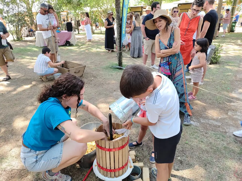 Valencia de Don Juan (6)