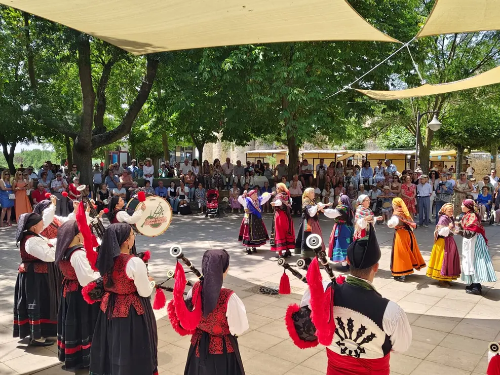 Valencia de Don Juan (8)