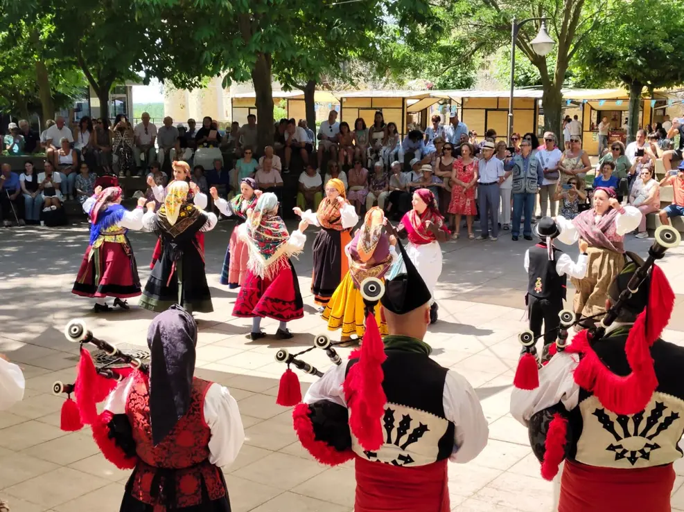 Valencia de Don Juan (9)