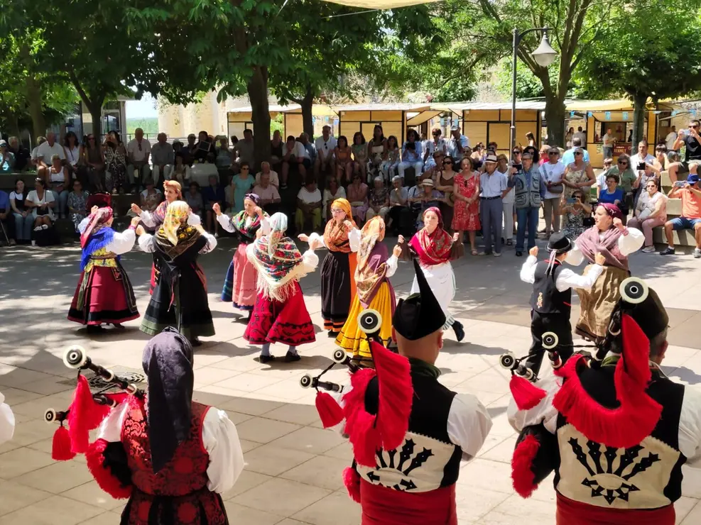 Valencia de Don Juan (10)
