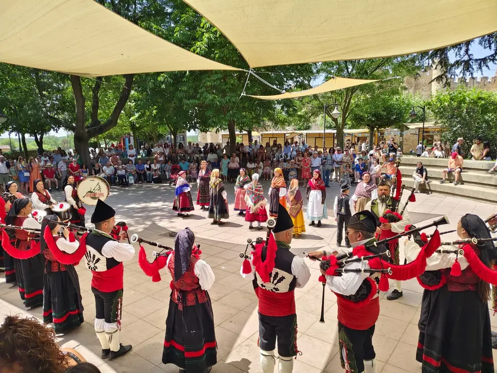 Valencia de Don Juan (11)
