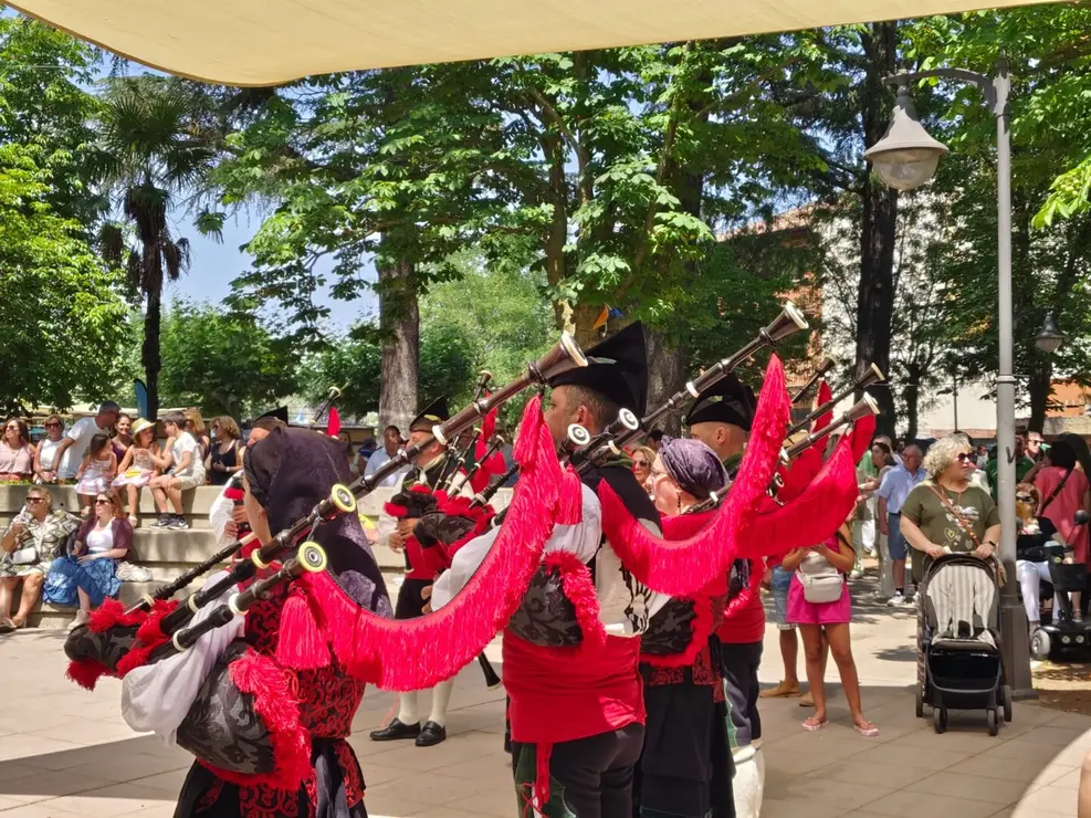 Valencia de Don Juan (12)