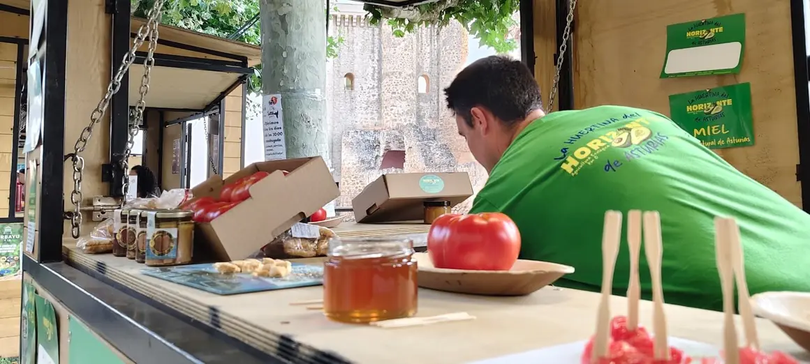 Valencia de Don Juan (18)
