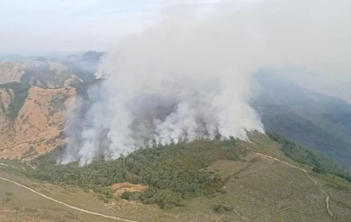 Imagen del incendio declarado en la localidad de Olleros de Alba.