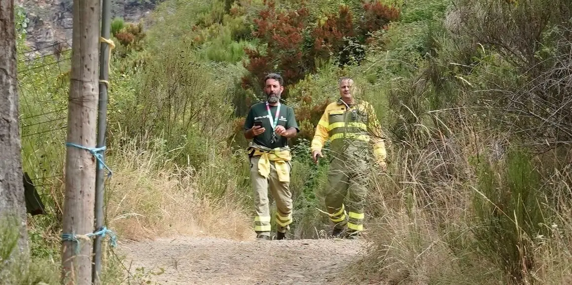 Incendio de nivel 1 en Olleros de Sabero (León)