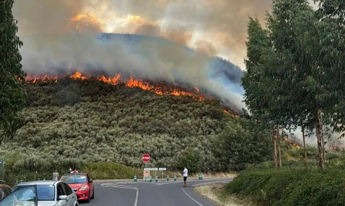 Incendios (2)
