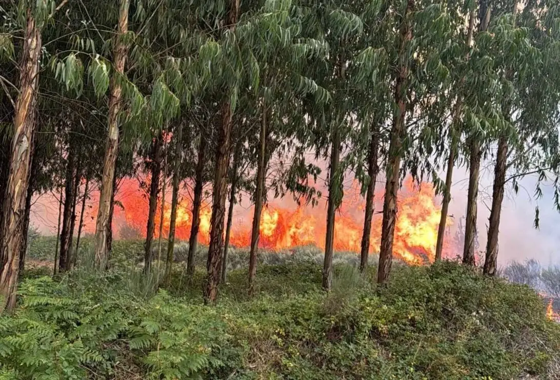 El fuego arrasa la cara sur de los Aquilianos y amenaza la Reserva de la Biosfera de los Ancares.