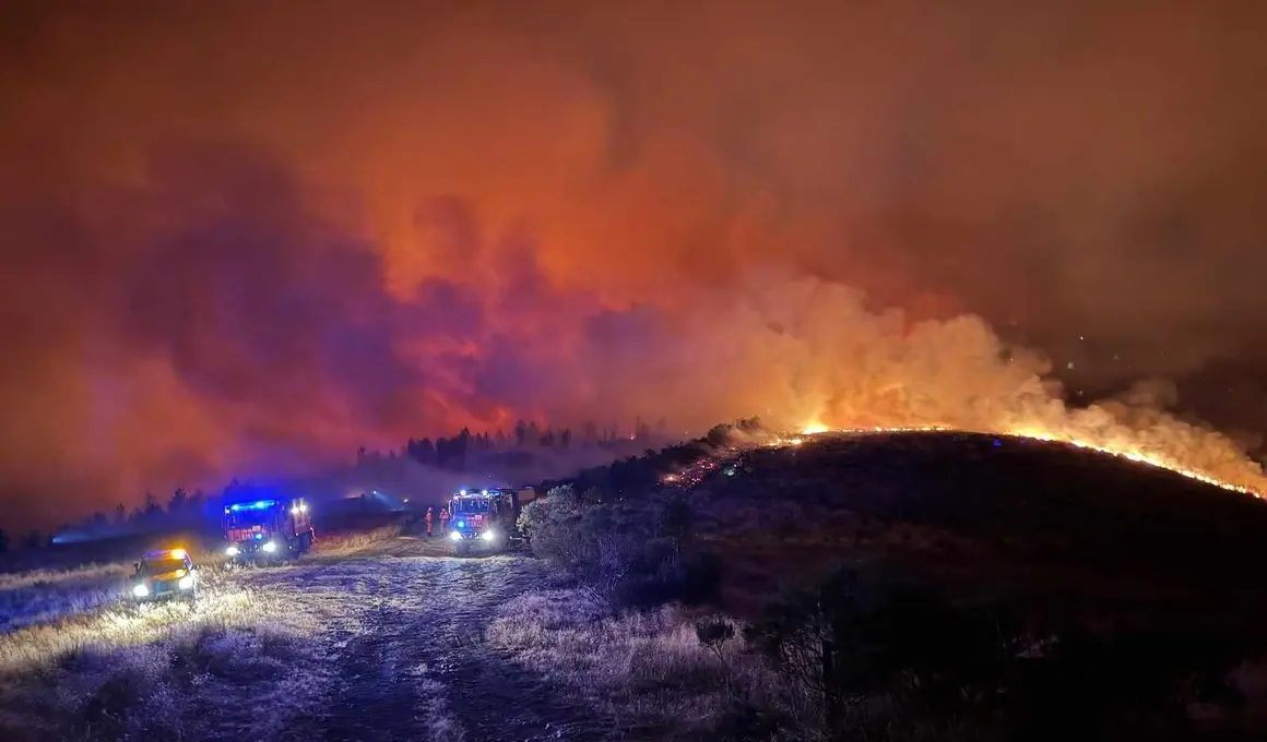 Ume incendios (1)