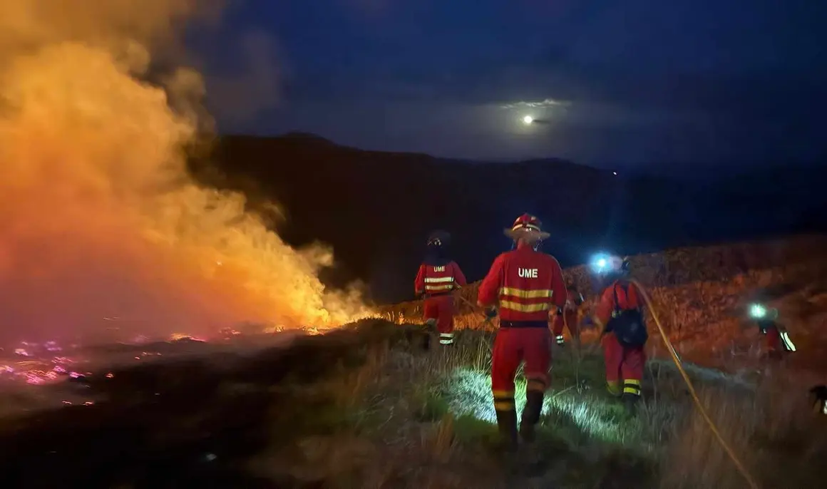Ume incendios (2)