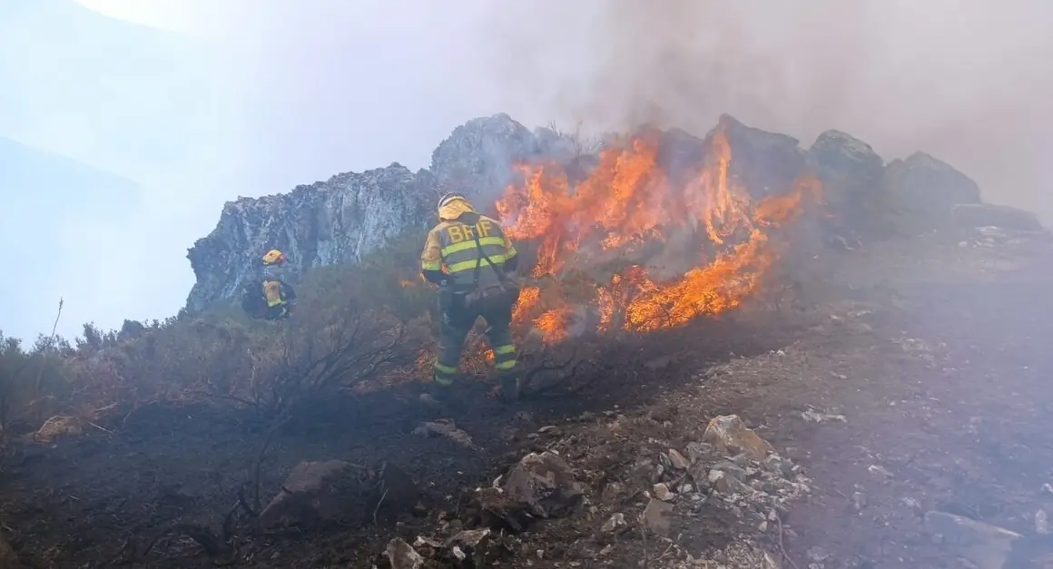 Trabajadores del servicio de extinción de incendios forestales de la Junta trabajan sobre uno de los fuegos en León.
