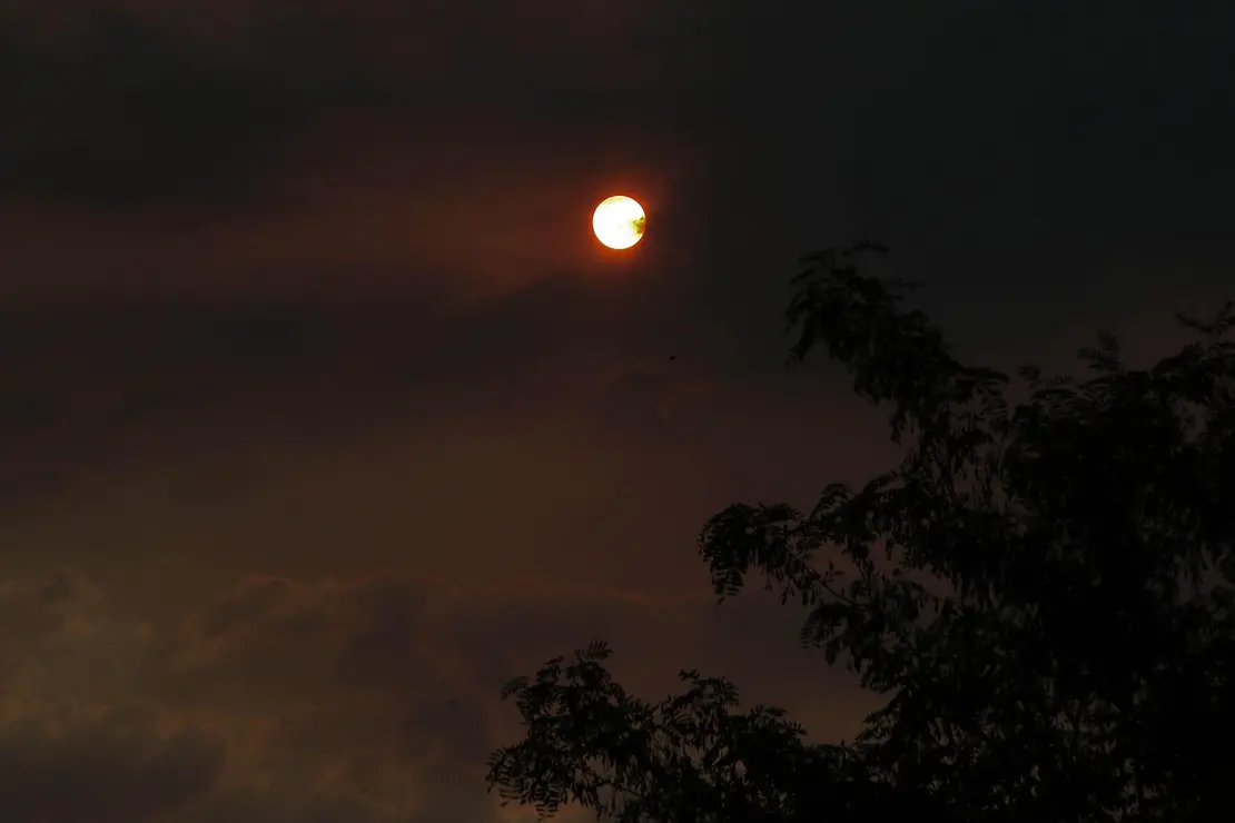 Incendio BIerzo (3)