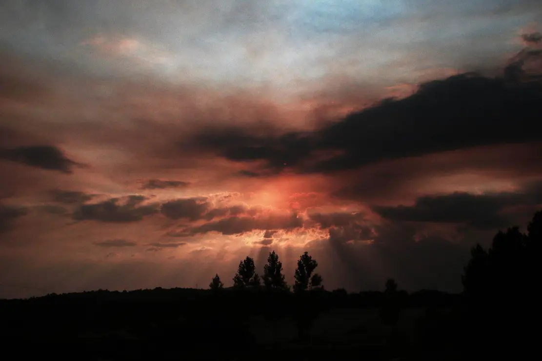 Incendio BIerzo (4)