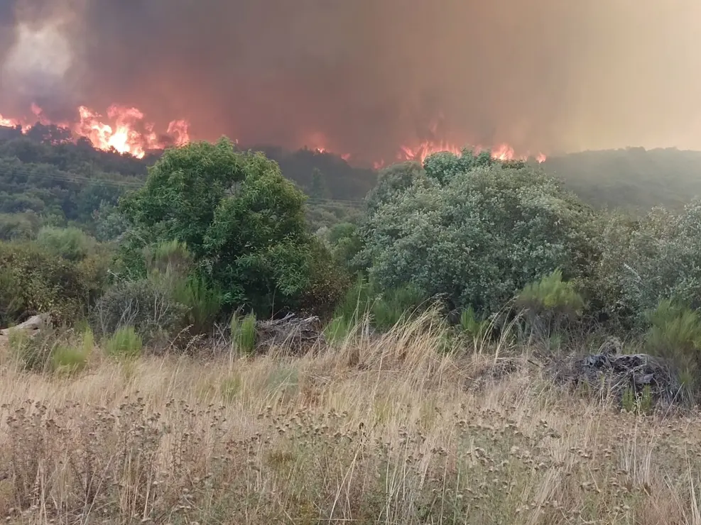 Incendio Las Médulas (5)