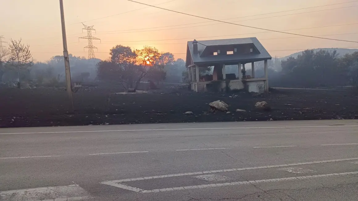 Incendio Las Médulas (7)
