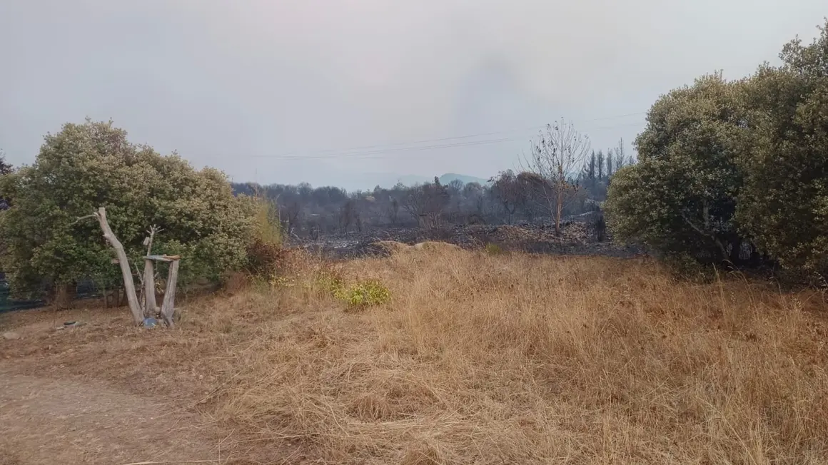 Incendio Las Médulas (9)