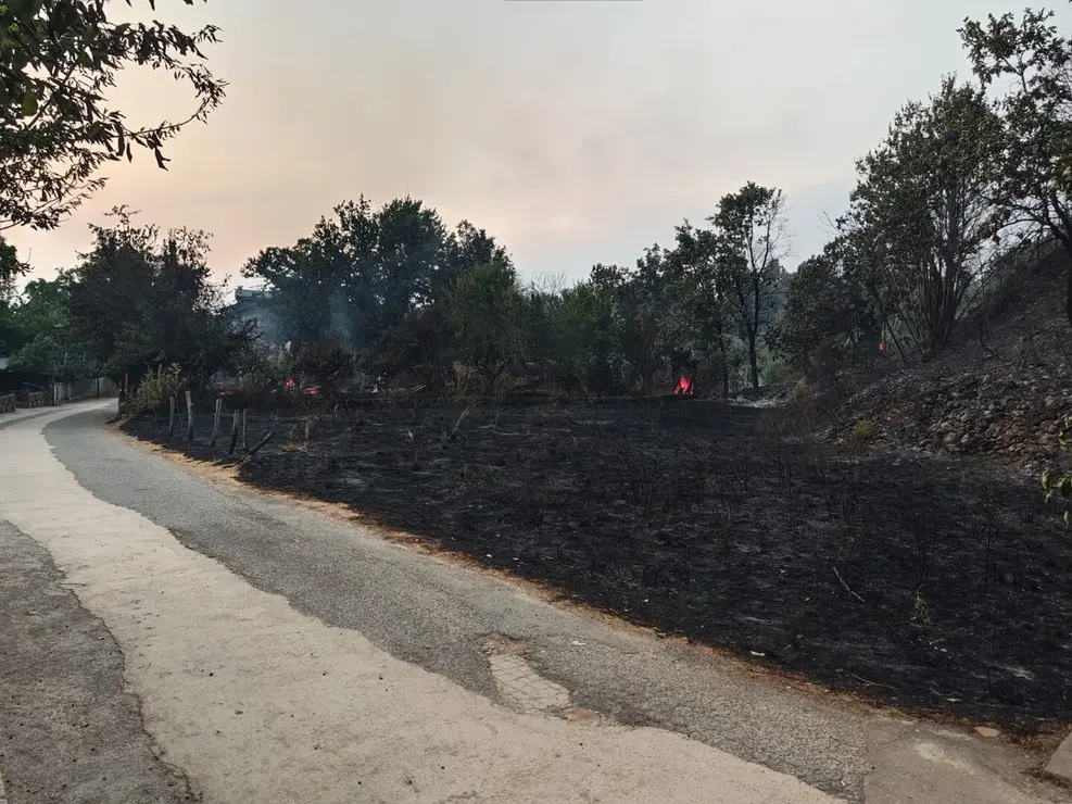 Incendio Las Médulas (11)