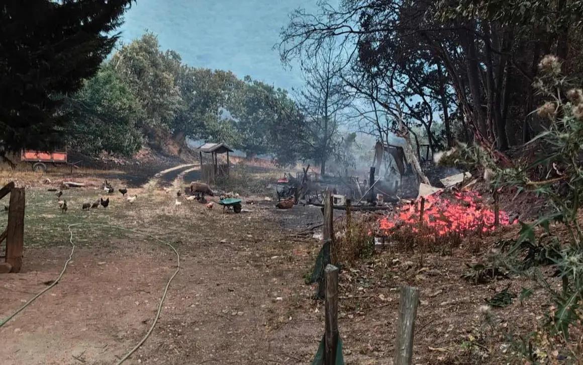 Incendio Las Médulas (12)