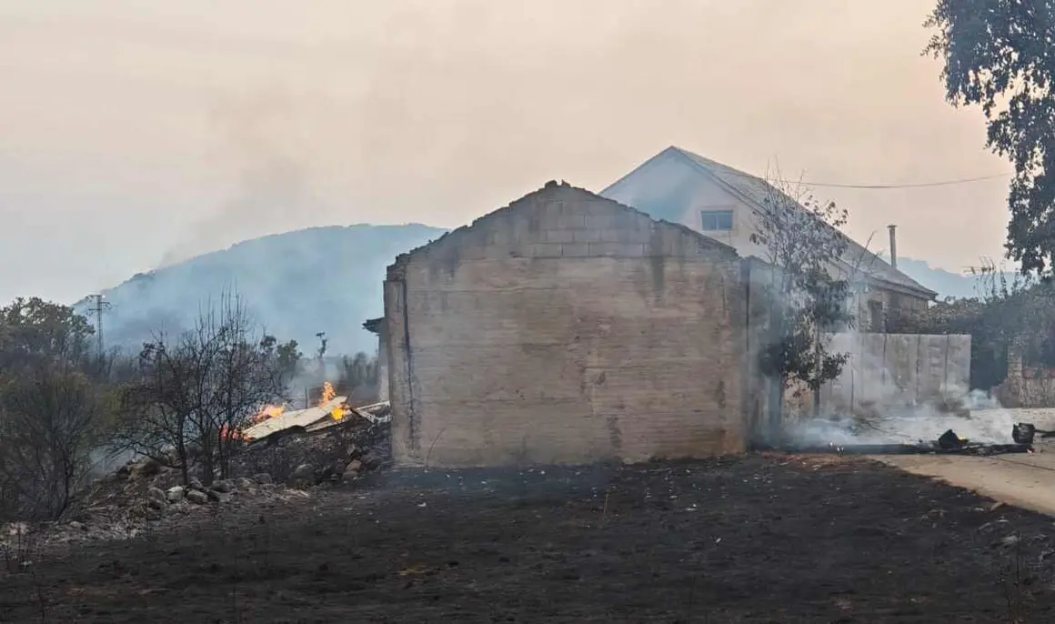 Incendio Las Médulas (13)