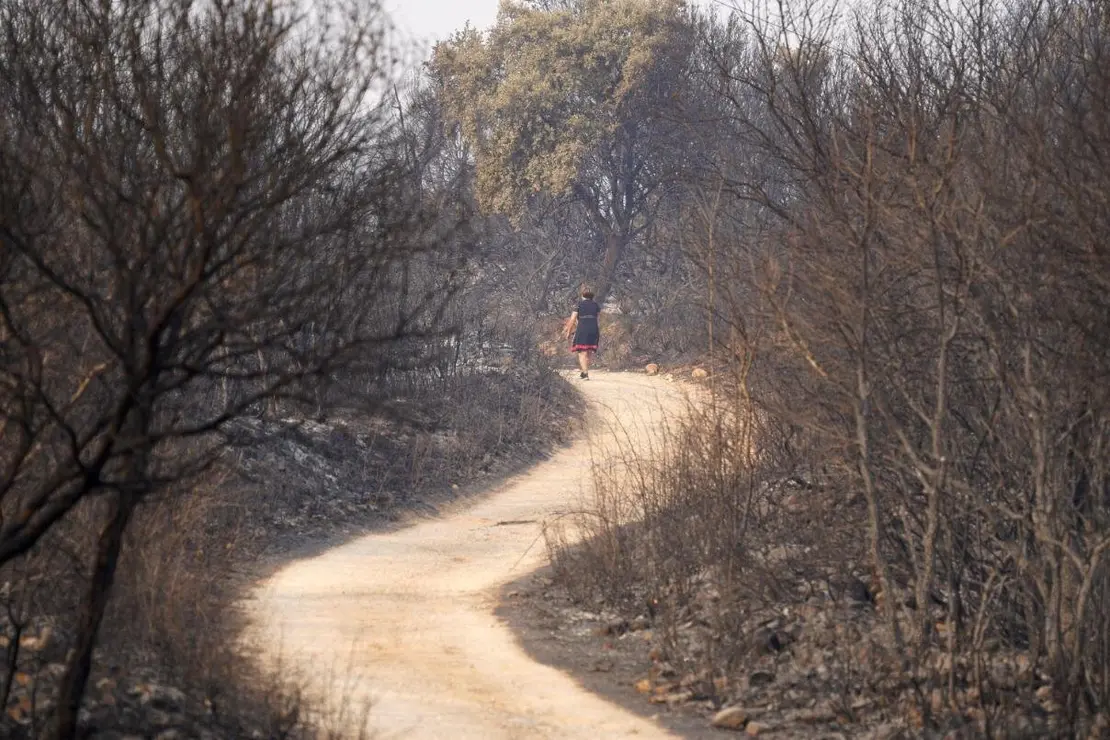 Las Médulas, reconocidas internacionalmente como Patrimonio de la Humanidad, han sucumbido al voraz incendio que desde hace días asola la provincia de León. El fuego no ha dejado rincón sin quemar, arrasando el característico paisaje de esta antigua mina romana y convirtiéndolo en un escenario de ceniza y destrucción.