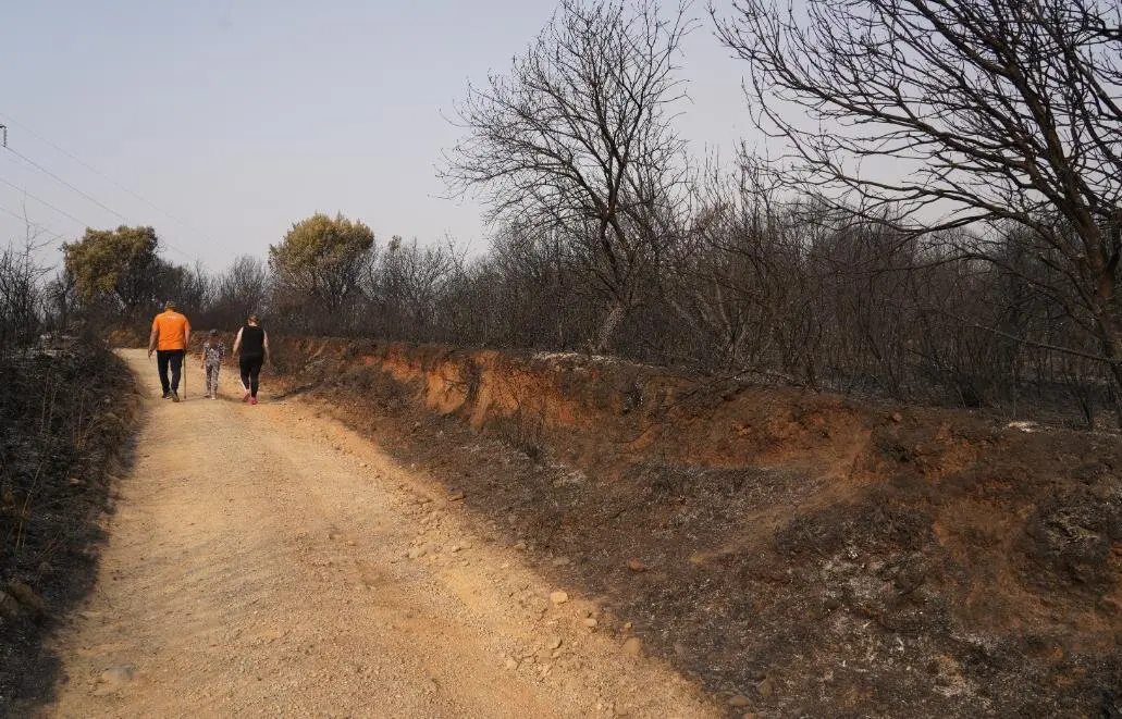Incendio en Las Médulas (8)
