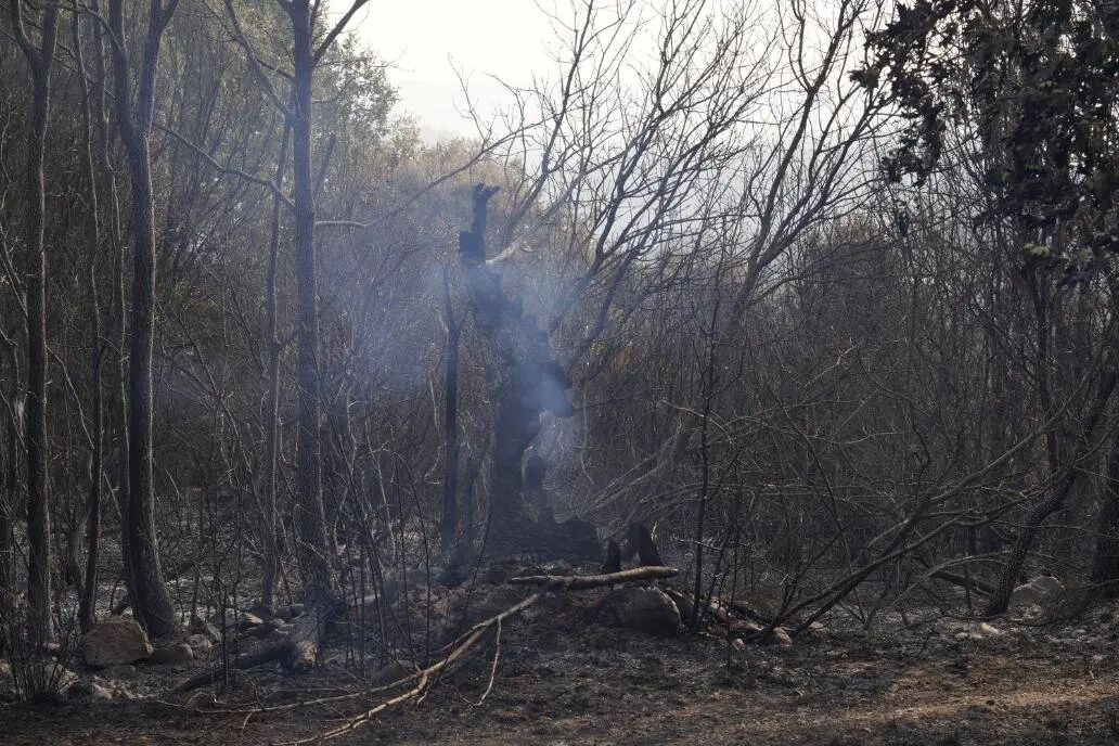 Incendio en Las Médulas (19)