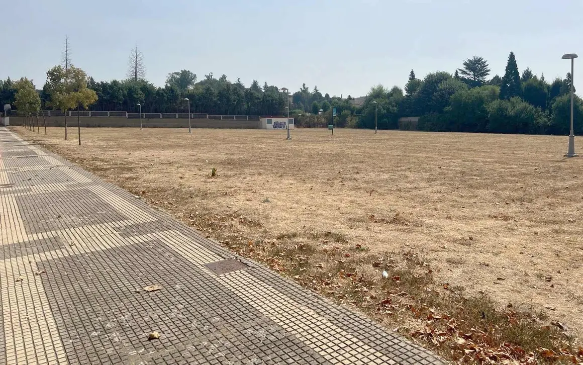 Parque municipal León (3)