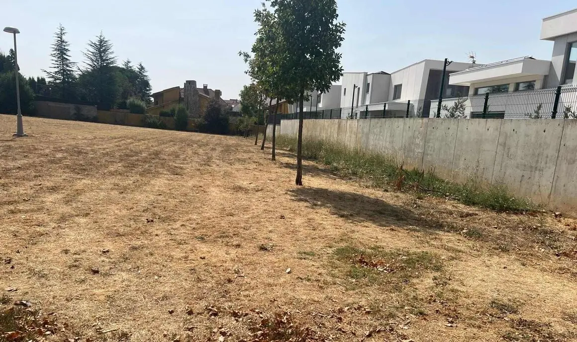 Parque municipal León (4)