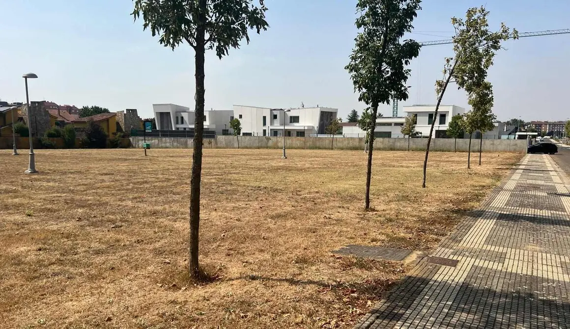 Apenas unos árboles resecos y una extensión de hierba amarillenta conforman hoy el único parque urbano del entorno de la calle Río Camba, en León capital. Situado entre algunas de las urbanizaciones más lujosas de la ciudad, el espacio, que debería ser un pulmón verde para cientos de familias, se ha convertido en un terreno baldío.