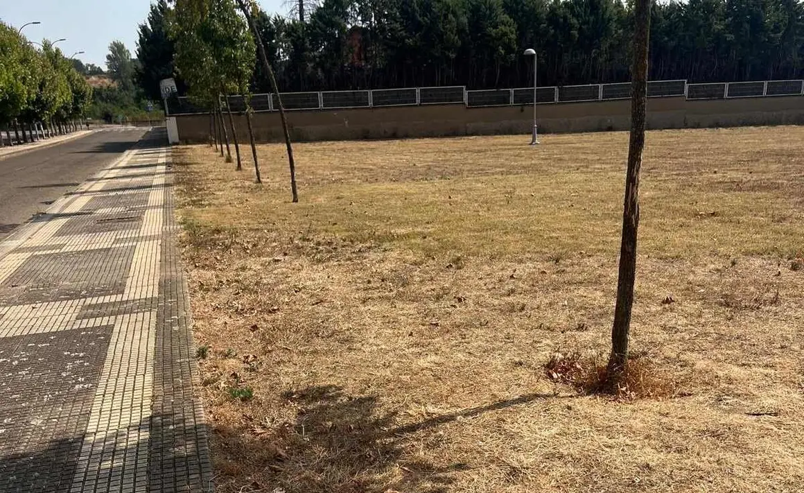 Parque municipal León (6)