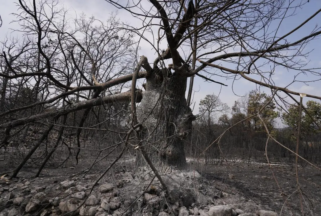 Efectos incendio en Las Médulas (11)