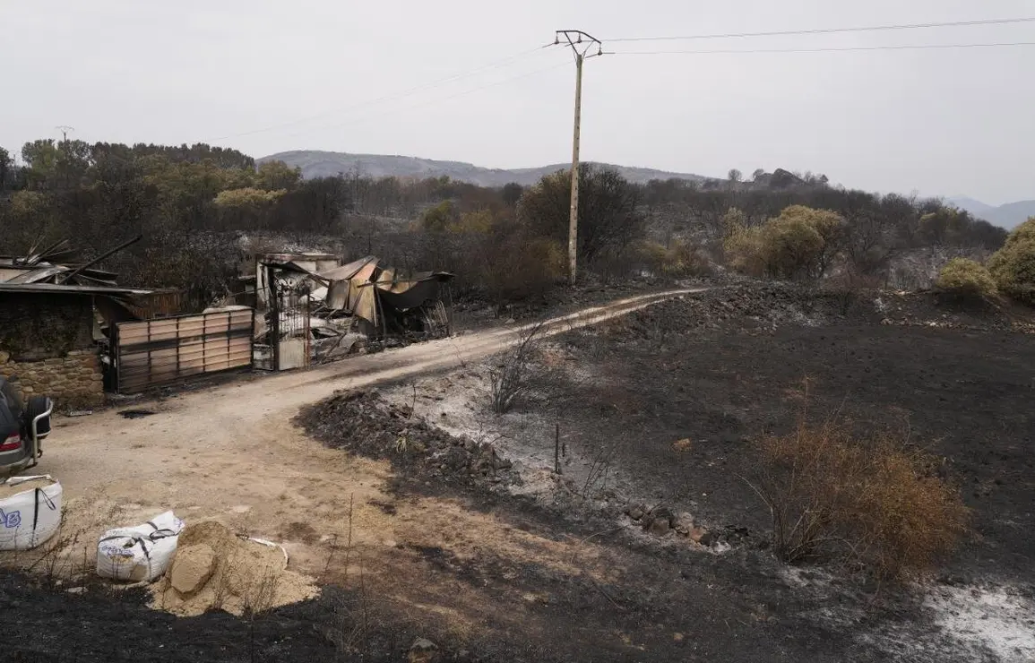 Efectos incendio en Las Médulas (16)